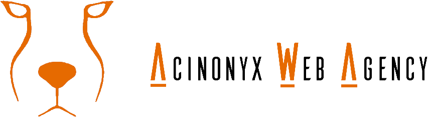 Logo : Acinonyx Web Agency